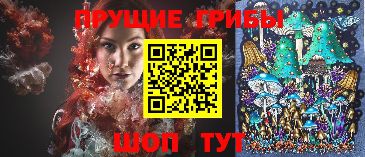 Псилоцибиновые грибы GOLDEN TEACHER  Вход с VPN  Нурлат  Галлюциногенные грибы GOLDEN TEACHER 