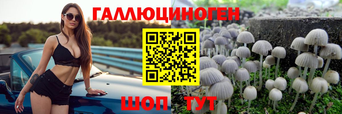 Псилоцибиновые грибы ЛСД Нурлат